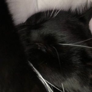 Meet your Posher, Mina